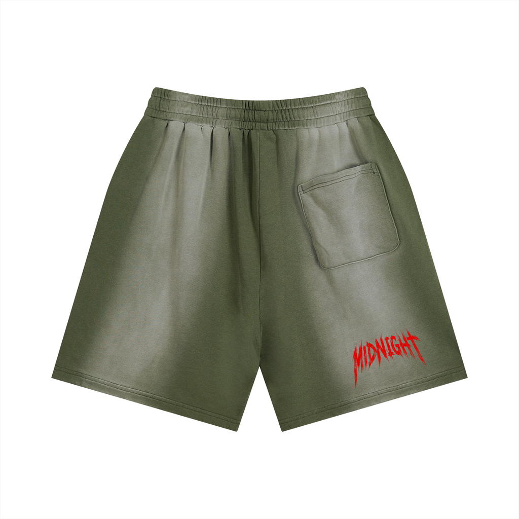 Sun Fade Distressed Shorts